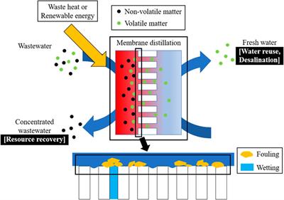 Recent advances of membrane-based hybrid membrane bioreactors for wastewater reclamation